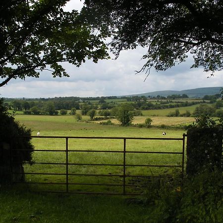 Brandon View House B&B Graiguenamanagh Luaran gambar
