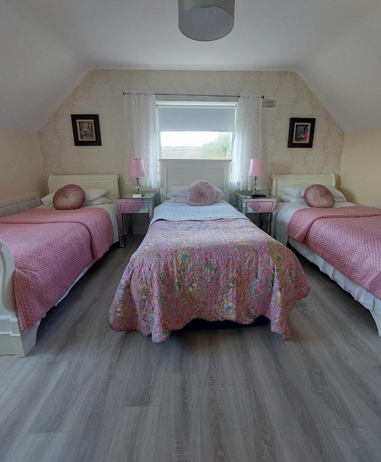 Brandon View House B&B Graiguenamanagh Luaran gambar