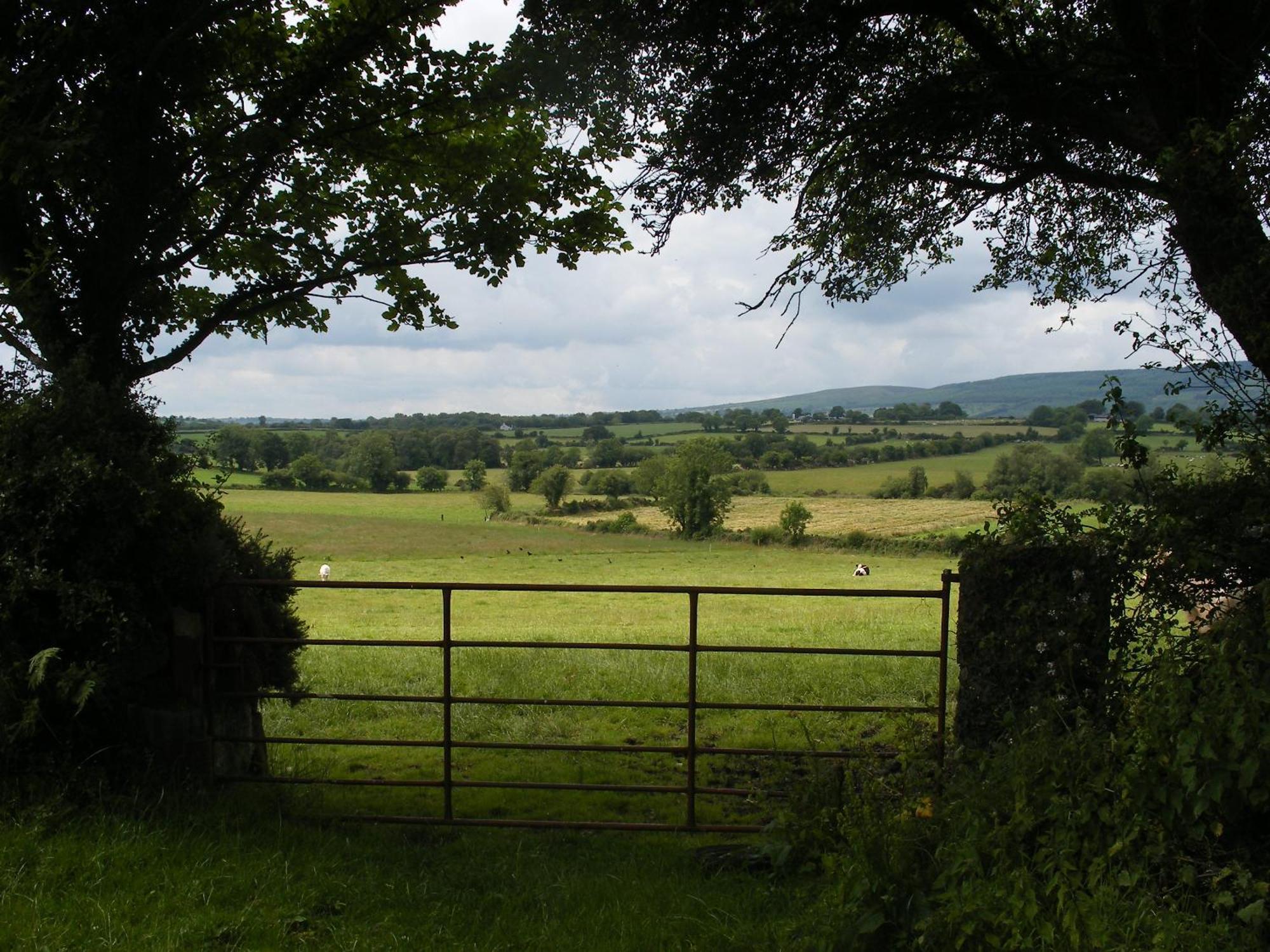 Brandon View House B&B Graiguenamanagh Luaran gambar
