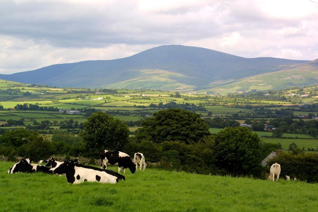 Brandon View House B&B Graiguenamanagh Luaran gambar