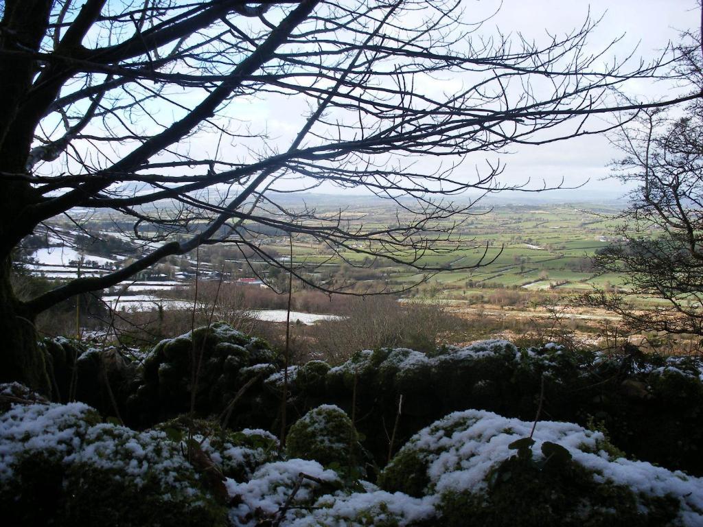Brandon View House B&B Graiguenamanagh Luaran gambar