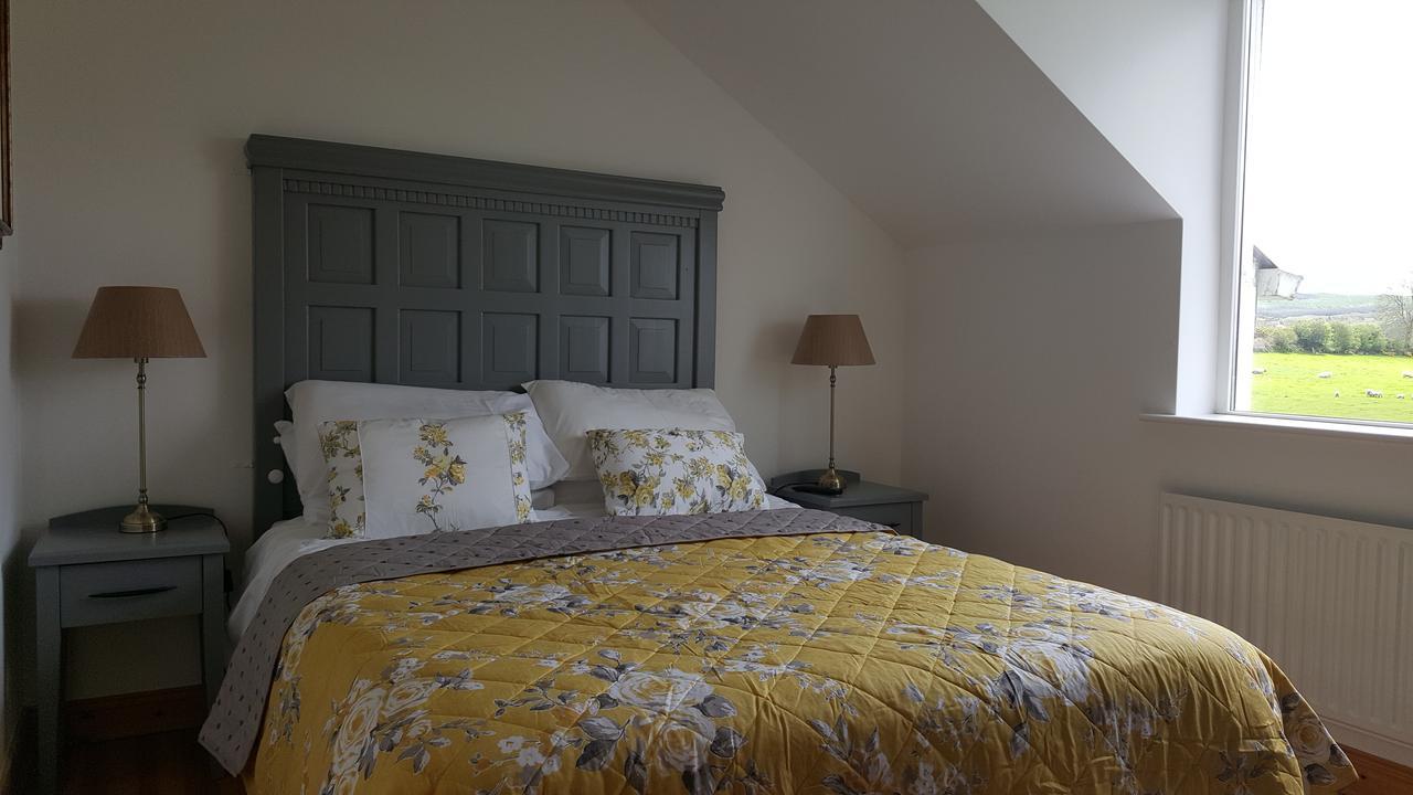 Brandon View House B&B Graiguenamanagh Luaran gambar