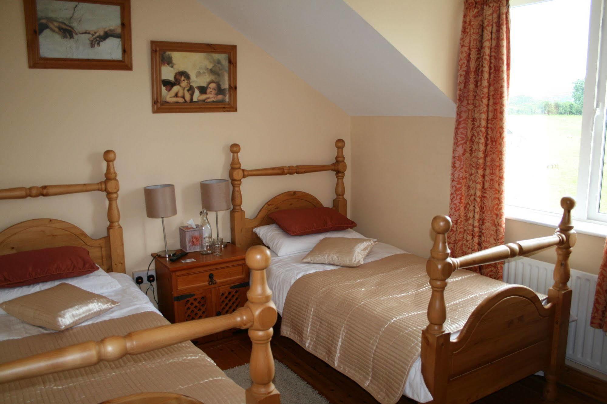 Brandon View House B&B Graiguenamanagh Luaran gambar
