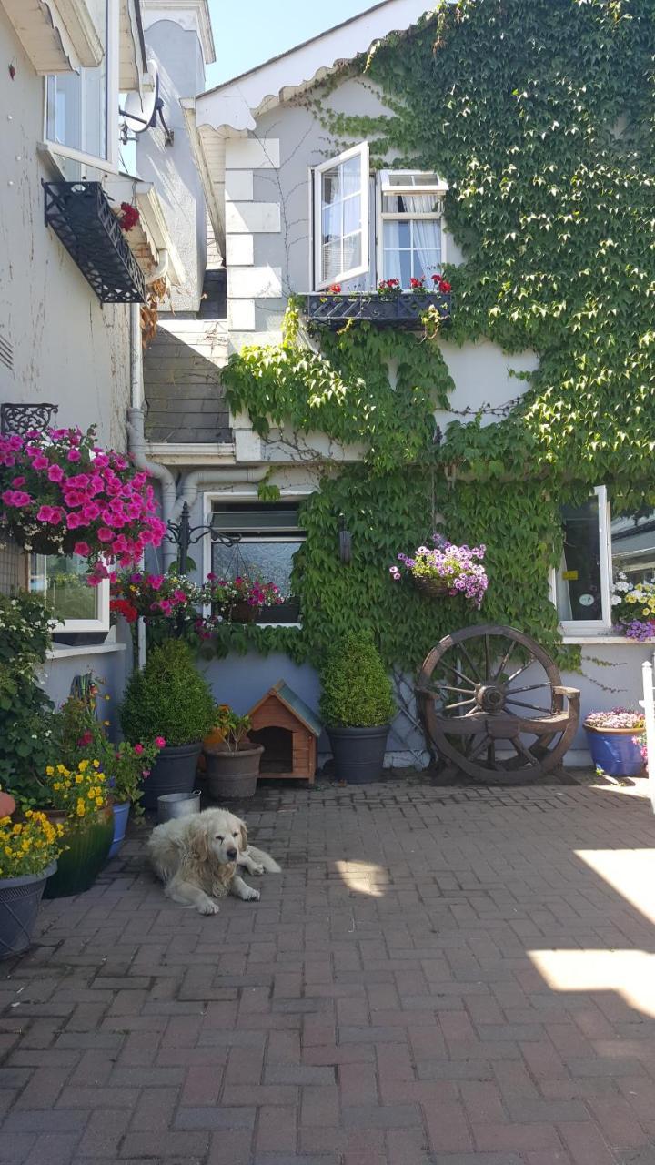 Brandon View House B&B Graiguenamanagh Luaran gambar