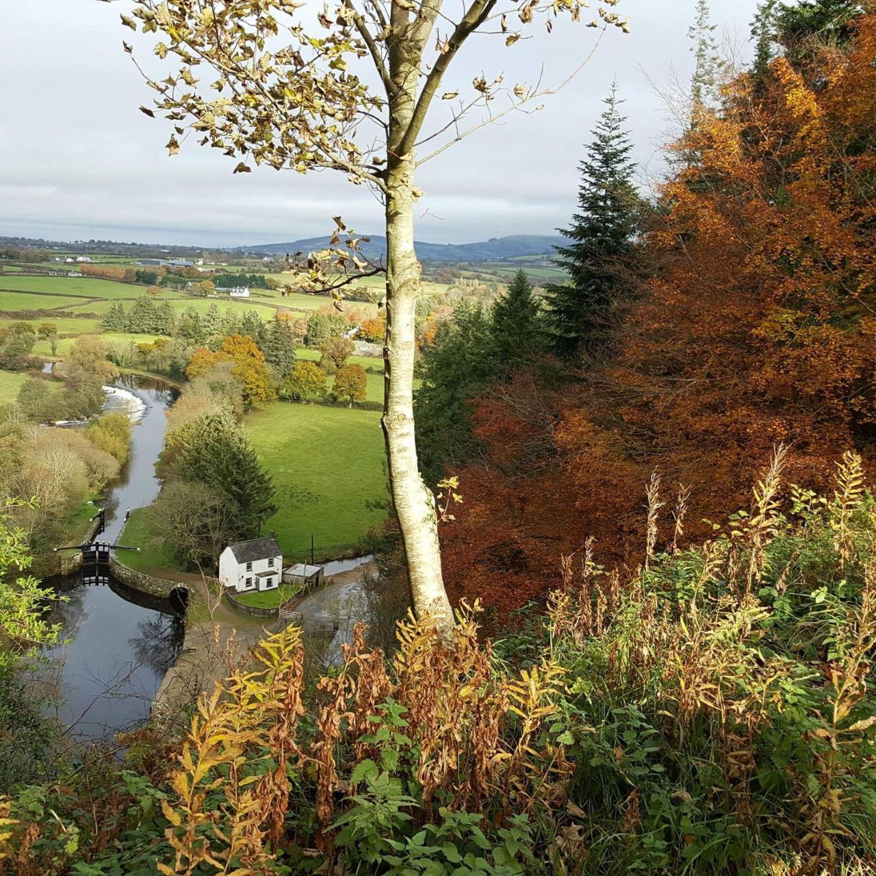 Brandon View House B&B Graiguenamanagh Luaran gambar